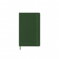 Moleskine 2025 12-Month Daily Large Hardcover Notebook: Myrtle Green