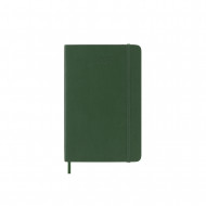 Moleskine 2025 12-Month Daily Pocket Softcover Notebook: Myrtle Green