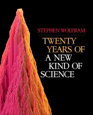 Twenty Years Of A New Kind Of Science