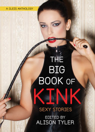 Big Book Of Kink