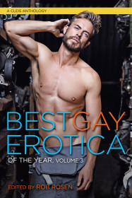 Best Gay Erotica Of The Year, Volume 3