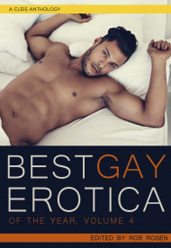 Best Gay Erotica Of The Year, Volume 4