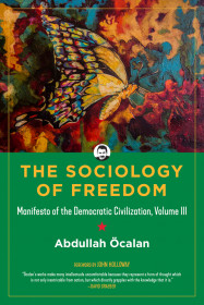 The Sociology Of Freedom