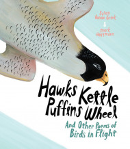Hawks Kettle, Puffins Wheel