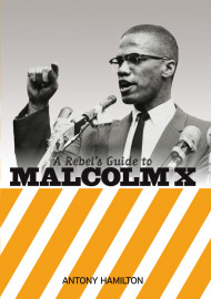 A Rebel's Guide To Malcolm X