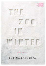 The Zoo In Winter