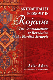 Anticapitalist Economy In Rojava