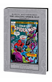 Marvel Masterworks: The Amazing Spider-man Volume 17