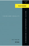 Vision And Visuality