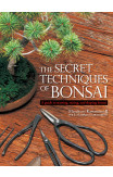 The Secret Techniques Of Bonsai