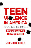 Teen Violence In America