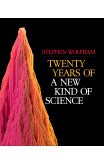 Twenty Years Of A New Kind Of Science
