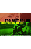 Too Fast To Live, Too Young To Die: Punk and Post-Punk Graphics