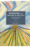 Marxism And Historical Practice: Interventions And Appreciations Volume Ii