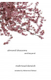 Almond Blossoms And Beyond