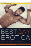 Best Gay Erotica Of The Year, Volume 4