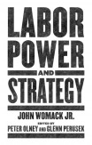 Labor Power And Strategy