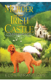 Murder At An Irish Castle