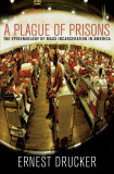 A Plague Of Prisons