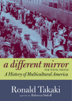 A Different Mirror For Young People
