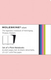 Moleskine Volant Pocket Plain Pink Magenta & Magenta 2-set