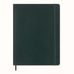 Moleskine Precious & Ethical XL Ruled Softcover Notebook in Box: Boa Green