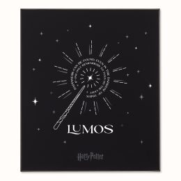 Moleskine Ltd. Ed. Harry Potter Themed Bundle: Large Ruled Lumos Notebook & Kaweco Roller Pen