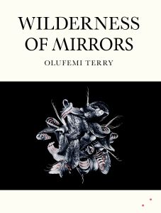 Wilderness of Mirrors