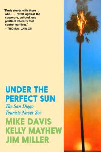 Under the Perfect Sun