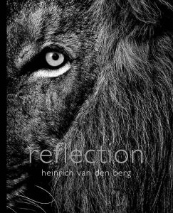 Reflection