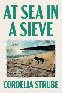At Sea in a Sieve