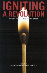 Igniting A Revolution