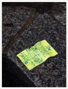 Some Things You Should Have Told Me