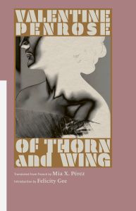 Of Thorn and Wing