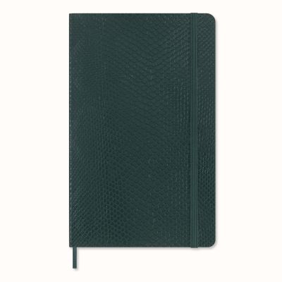 Moleskine Precious & Ethical Large Ruled Softcover Notebook in Box: Boa Green