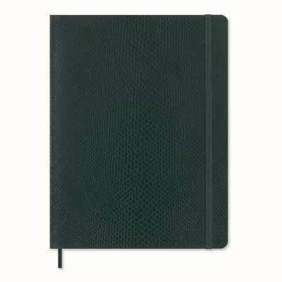 Moleskine Precious & Ethical XL Ruled Softcover Notebook in Box: Boa Green