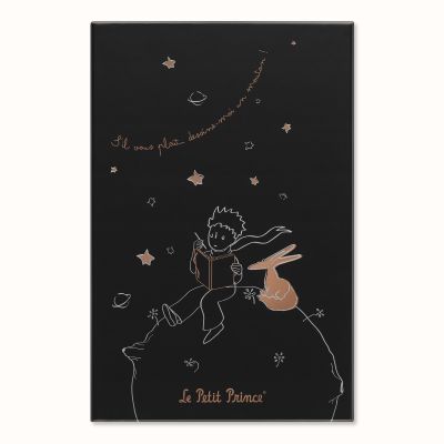 Moleskine Ltd. Ed. Le Petit Prince 2023 Large Ruled Hardcover Notebook in Gift Box