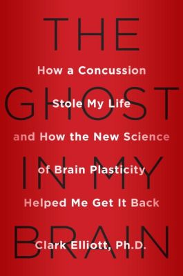 The Ghost In My Brain