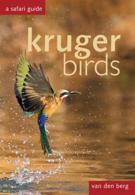 Kruger Birds