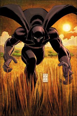 Black Panther by Reginald Hudlin Omnibus