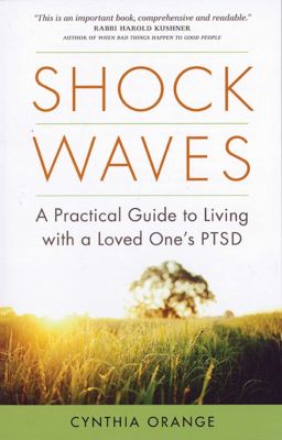 Shock Waves