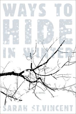 Ways to Hide in Winter