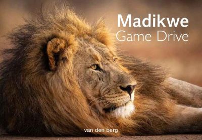 Madikwe Game Drive