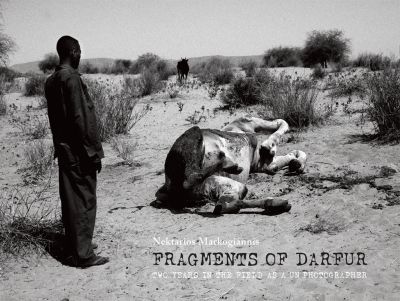 Fragments of Darfur