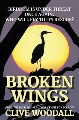 Broken Wings