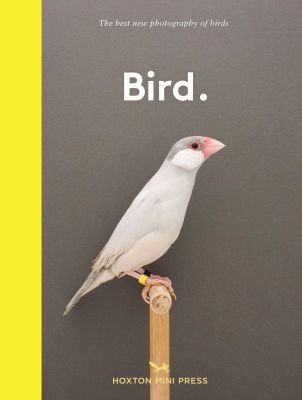 Bird.