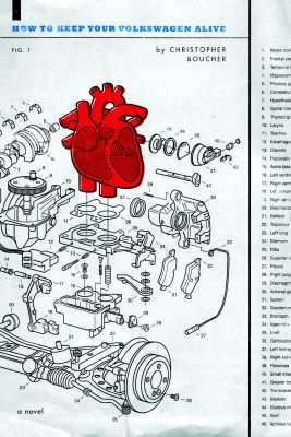 How to Keep Your Volkswagen Alive