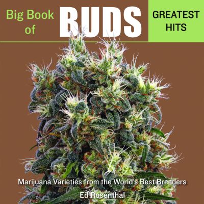 Big Book of Buds Greatest Hits