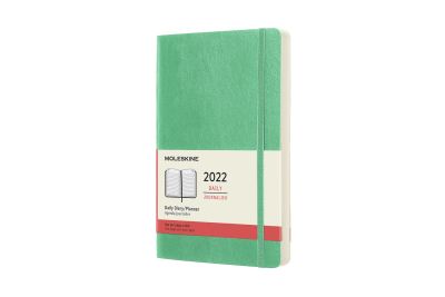 Moleskine 2022 12-Month Daily Large Softcover Notebook: Ice Green
