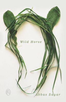 Wild Horse